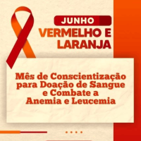sdsdsd sd 